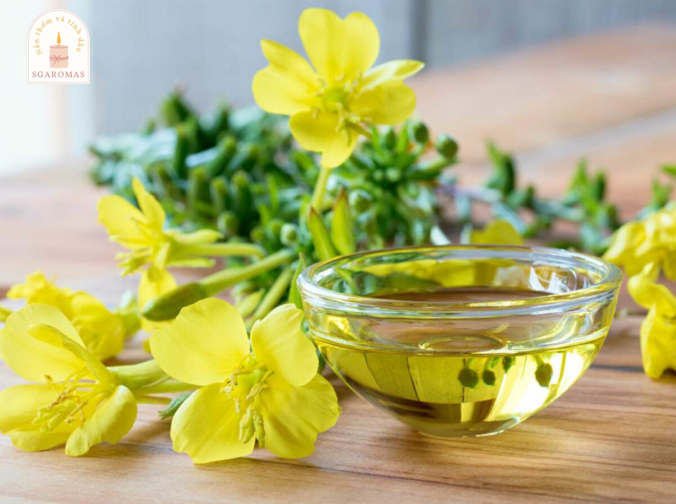 Tinh dầu hoa anh thảo giúp giảm viêm, giảm đau